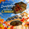 Dimitrovden_programa