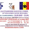 Стартира 14-та кампания за безплатни кастрации на дворни кучета и котки