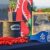 Българин постави Световен Рекорд с най-лютата чушка в света Carolina Reaper