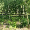 Девет пожара потушени в община Нова Загора след буря – благодарност към пожарникари, земеделци и доброволци