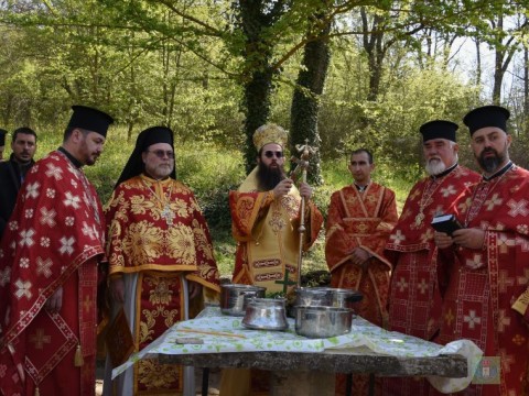 Живоприемни източник