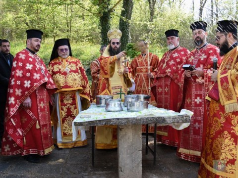 Живоприемни източник