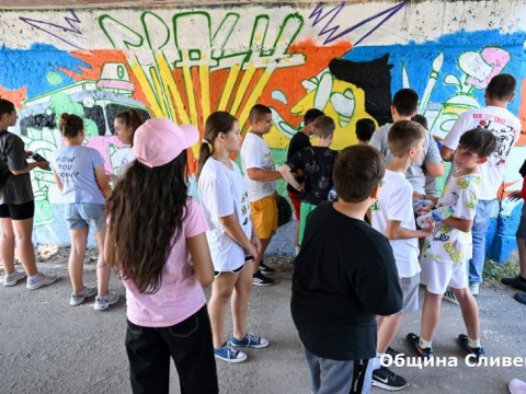 Izkustvo sreshtu vandalizum