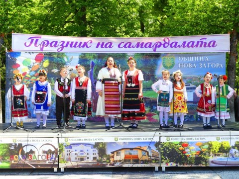 Празник на самардалата превърна Нова Загора в кулинарна столица
