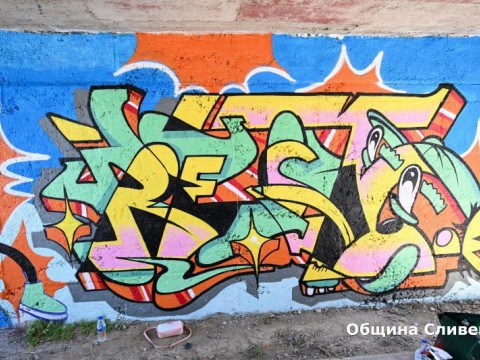 Izkustvo sreshtu vandalizum