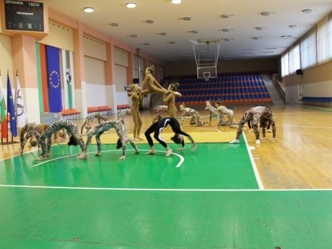 Връчиха наградите на най-добрите спортисти и треньори за 2016 г. от Спортното училище в Сливен